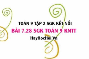 Bài 7.28 SGK Toán 9 tập 2 Kết nối tri thức